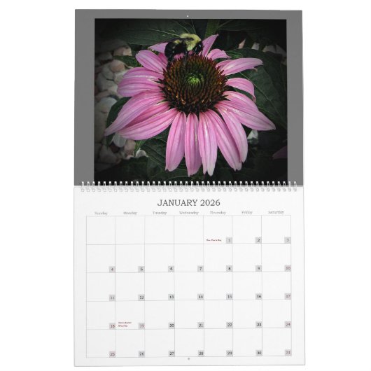 Verrukkingen in Natuur GR - Grote muurkalender 202 Kalender (Jan 2026)