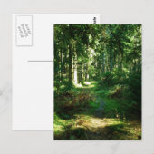 verrukt bos briefkaart (Voorkant / Achterkant)