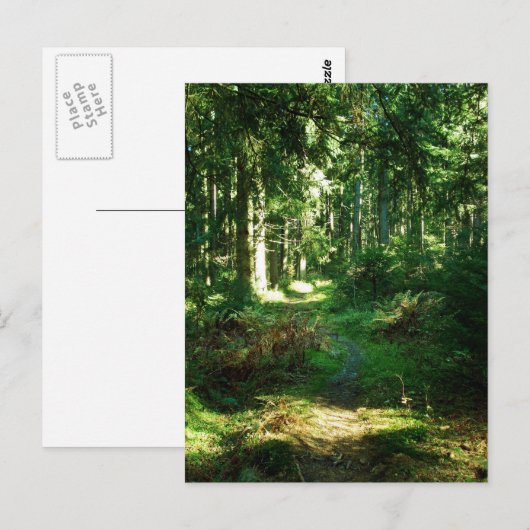 verrukt bos briefkaart (Voorkant / Achterkant)