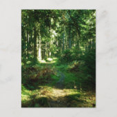 verrukt bos briefkaart (Voorkant)