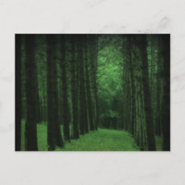 Verrukt BosBriefkaart Briefkaart