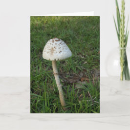 Verrukte Paddestoel Notecards (Spatie binnen) Kaart