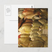 Vers Briefkaart (Voorkant / Achterkant)