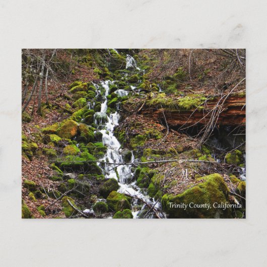 Vers bronwater....briefkaart briefkaart (Voorkant)