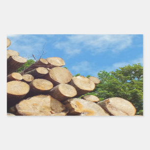 vers gekapt hout in het bos onder blauwe lucht rechthoekige sticker