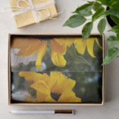 Vers Gele Zonnebloemen in een pot Tissuepapier (Geschenk)