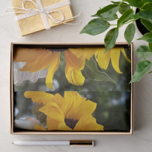 Vers Gele Zonnebloemen in een pot Tissuepapier (Geschenk)