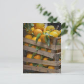 vers geplukte sinaasappels briefkaart (Staand voorkant)
