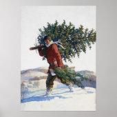 Vers gesneden kerstboom  poster (Voorkant)