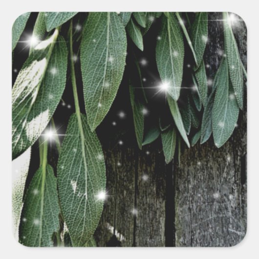 Vers gesneden Sage Barn-wood Twinkle Lights Vierkante Sticker (Voorkant)