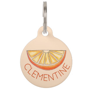 Vers gevriesdroogd PB Oranje sap citrusvruchten Sl Huisdierpenning