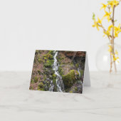 Vers Lente waterval.... Kaart (Gele Bloem)