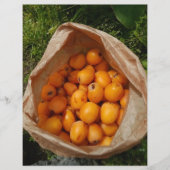 Vers loquats flyer (Voorkant)