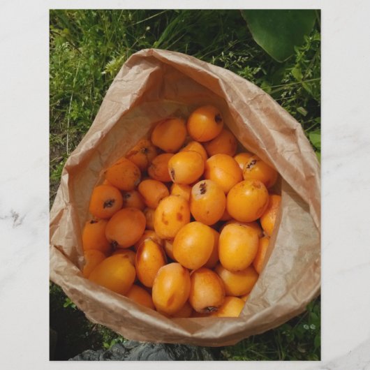 Vers loquats flyer (Voorkant)