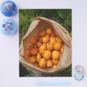 Vers loquats flyer (Enkel)