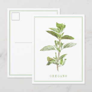 VERS OREGANO-Briefkaart Briefkaart