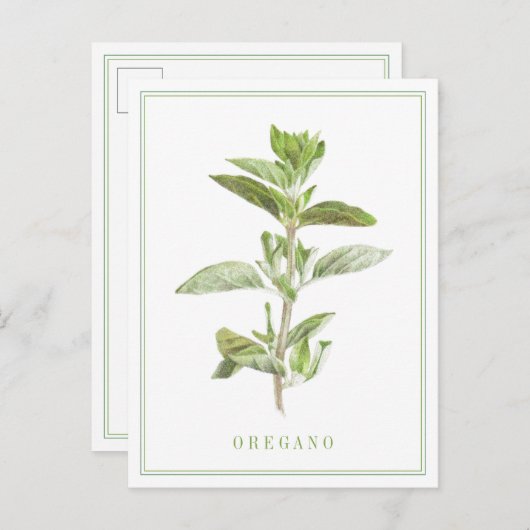 VERS OREGANO-Briefkaart Briefkaart (Voorkant / Achterkant)
