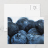 Vers rijpe blauwbessen briefkaart (Voorkant / Achterkant)
