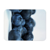Vers rijpe blauwbessen magneet (Horizontaal)