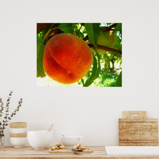 vers rijpe perzik poster (Keuken)