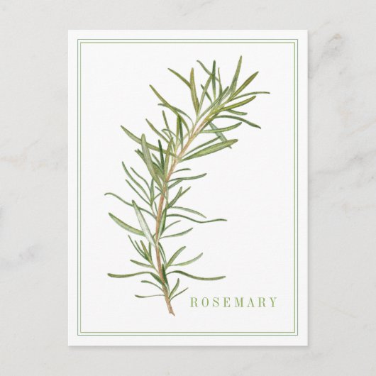 VERS ROZEMARIJN BRIEFKAART (Voorkant)