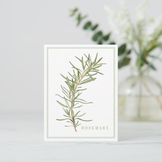 VERS ROZEMARIJN BRIEFKAART (Staand voorkant)