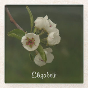 Vers Spring Pear Blossom Persoonlijke foto Glazen Onderzetter