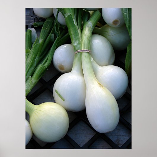 vers van het Boerderij Poster (Voorkant)