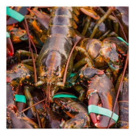 Vers van het papier van 20x20 Poster (halfglanzend