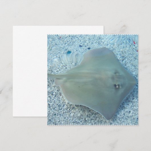 Vers waterstraal kaart (Voorkant / Achterkant)