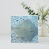 Vers waterstraal kaart (Staand voorkant)