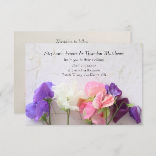 Vers zoete erwten kaart (Voorkant / Achterkant)