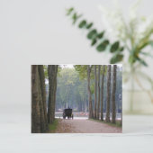 Versailles 1 met fouten briefkaart (Staand voorkant)