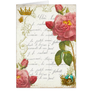 Versailles Marie Antoinette Garden Rozen