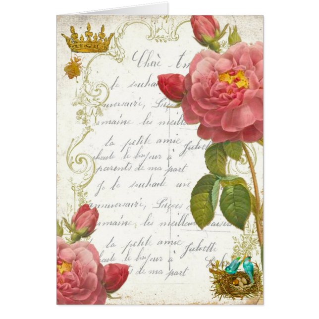 Versailles Marie Antoinette Garden Rozen (Voorkant)