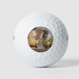 Versailles Park in het najaar (door Konstantin Som Golfballen