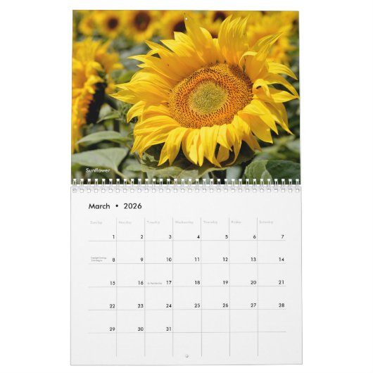 Verscheidene bloemen 12-maandenkalender kalender (Mar 2026)
