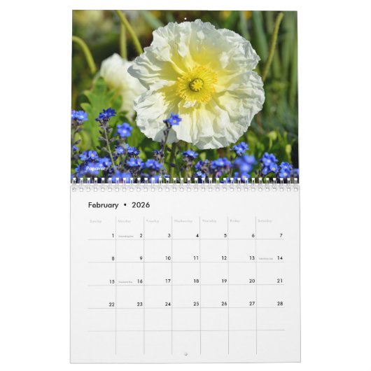 Verscheidene bloemen 12-maandenkalender kalender (Feb 2026)