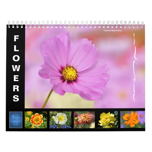 Verscheidene bloemen 12-maandenkalender kalender (Hoes)