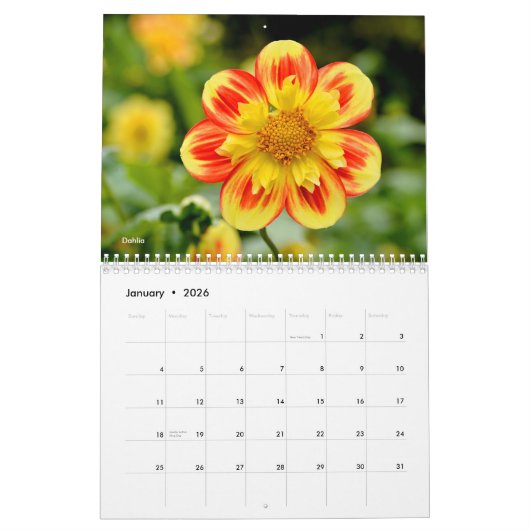 Verscheidene bloemen 12-maandenkalender kalender (Jan 2026)