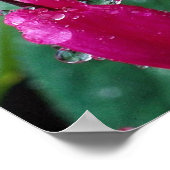 Verscheidene bloemen van bloedend plant en water poster (Hoek)