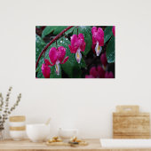 Verscheidene bloemen van bloedend plant en water poster (Keuken)