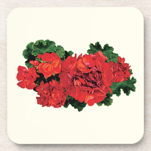 Verscheidene Rode Geraniums Drankjes Onderzetter (Voorkant)