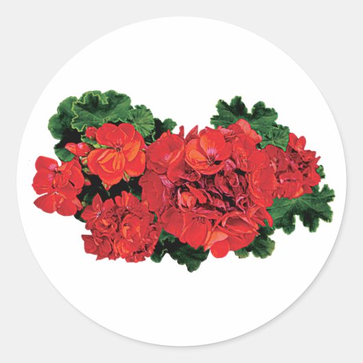 Verscheidene Rode Geraniums Ronde Sticker (Voorkant)