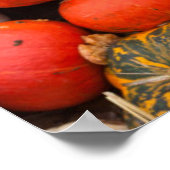 Verscheidene squash for sale, Duitsland Poster (Hoek)