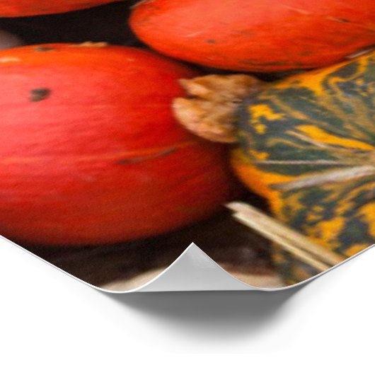 Verscheidene squash for sale, Duitsland Poster (Hoek)