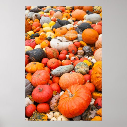 Verscheidene squash for sale, Duitsland Poster (Voorkant)