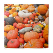 Verscheidene squash for sale, Duitsland Tegeltje (Voorkant)