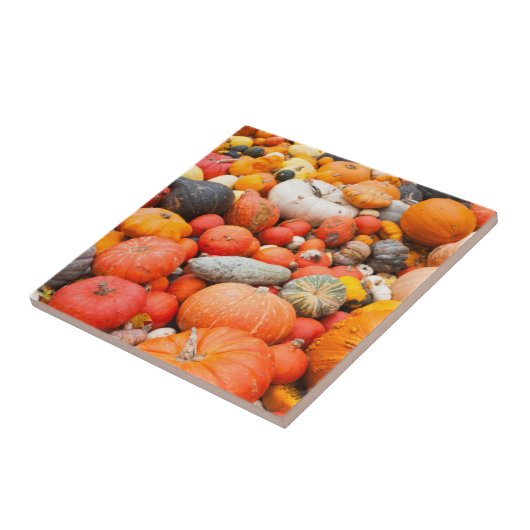 Verscheidene squash for sale, Duitsland Tegeltje (Zijkant)