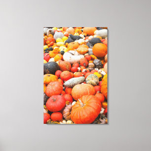 Verscheidenheid aan pompoenen te koop, Duitsland Canvas Afdruk